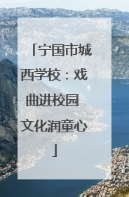宁国市城西学校：戏曲进校园 文化润童心