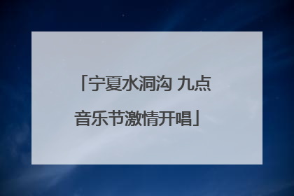 宁夏水洞沟 九点音乐节激情开唱