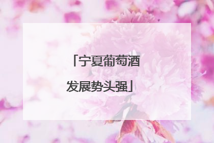 宁夏葡萄酒发展势头强