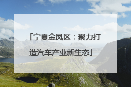 宁夏金凤区：聚力打造汽车产业新生态