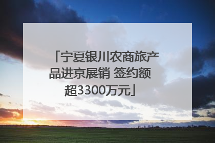 宁夏银川农商旅产品进京展销 签约额超3300万元