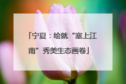 宁夏：绘就“塞上江南”秀美生态画卷