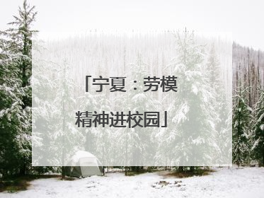 宁夏：劳模精神进校园