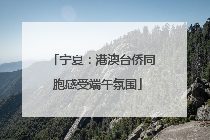 宁夏：港澳台侨同胞感受端午氛围