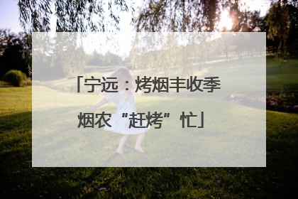 宁远：烤烟丰收季 烟农“赶烤”忙