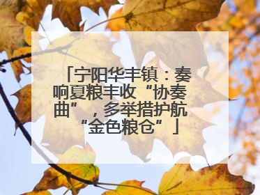 宁阳华丰镇：奏响夏粮丰收“协奏曲”，多举措护航“金色粮仓”