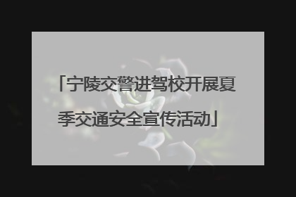 宁陵交警进驾校开展夏季交通安全宣传活动