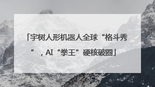 宇树人形机器人全球“格斗秀”，AI“拳王”硬核破圈