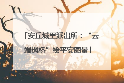 安丘城里派出所：“云端枫桥”绘平安图景