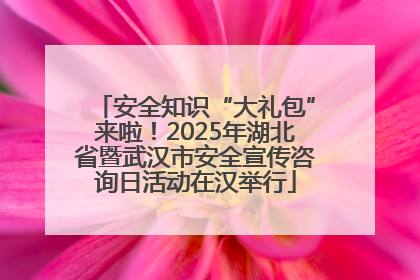 安全知识“大礼包”来啦！2025年湖北省暨武汉市安全宣传咨询日活动在汉举行