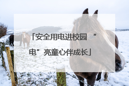 安全用电进校园 “电”亮童心伴成长