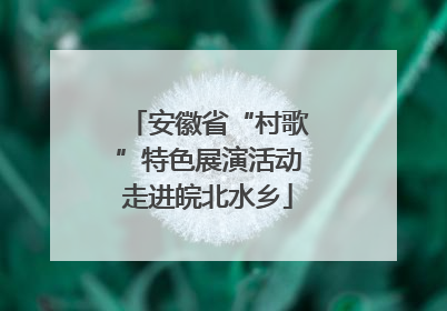 安徽省“村歌”特色展演活动走进皖北水乡