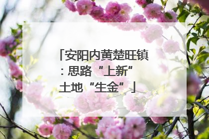 安阳内黄楚旺镇：思路“上新” 土地“生金”