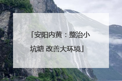 安阳内黄：整治小坑塘 改善大环境