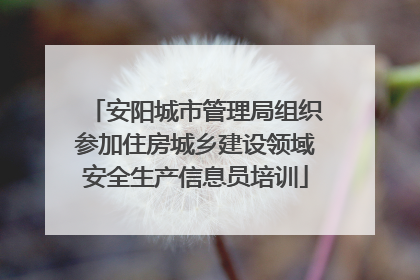 安阳城市管理局组织参加住房城乡建设领域安全生产信息员培训