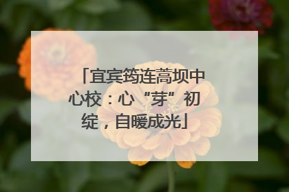 宜宾筠连蒿坝中心校：心“芽”初绽，自暖成光