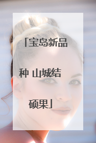 宝岛新品种 山城结硕果
