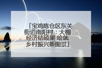 宝鸡陈仓区东关街道南阳村：大棚经济结硕果 绘就乡村振兴新图景