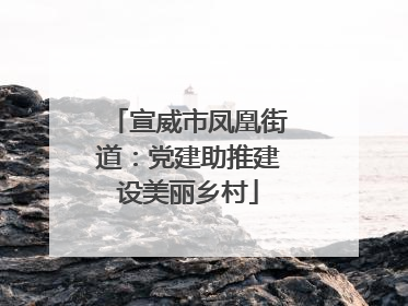 宣威市凤凰街道：党建助推建设美丽乡村