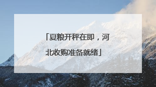 夏粮开秤在即，河北收购准备就绪