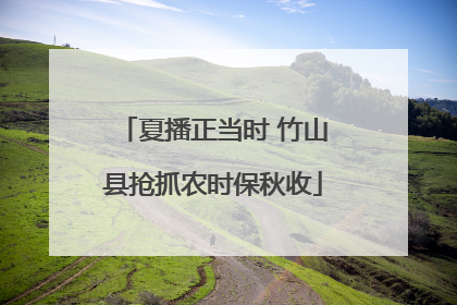 夏播正当时 竹山县抢抓农时保秋收