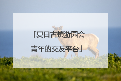 夏日古镇游园会 青年的交友平台