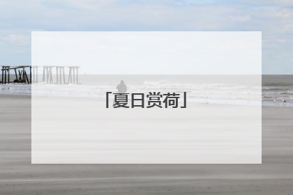 夏日赏荷