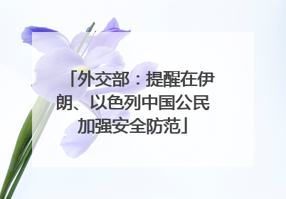 外交部：提醒在伊朗、以色列中国公民加强安全防范