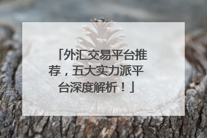外汇交易平台推荐，五大实力派平台深度解析！