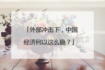 外部冲击下，中国经济何以这么稳？