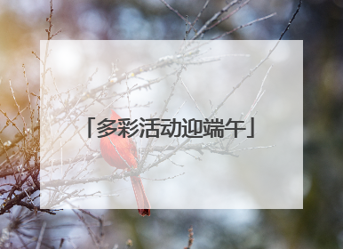 多彩活动迎端午