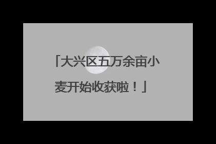 大兴区五万余亩小麦开始收获啦！