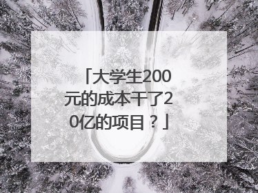 大学生200元的成本干了20亿的项目？