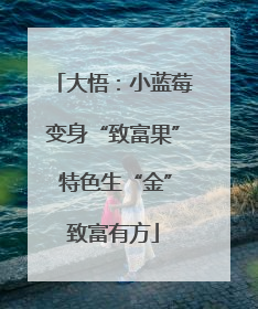大悟：小蓝莓变身“致富果” 特色生“金”致富有方