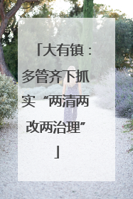 大有镇：多管齐下抓实“两清两改两治理”