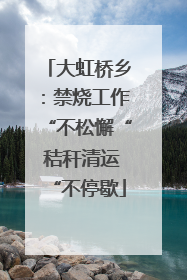 大虹桥乡：禁烧工作“不松懈“ 秸秆清运“不停歇