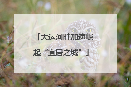 大运河畔加速崛起“宜居之城”