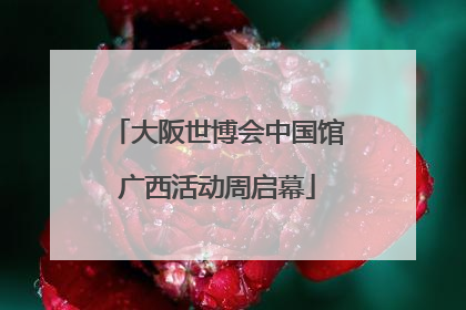 大阪世博会中国馆广西活动周启幕