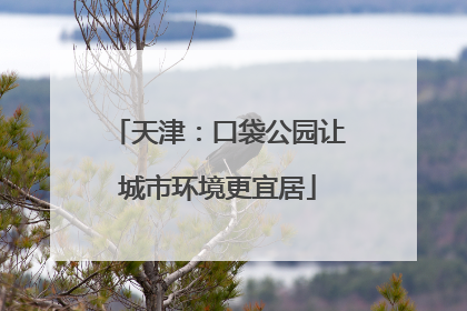 天津：口袋公园让城市环境更宜居