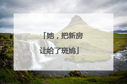 她，把新房让给了斑鸠