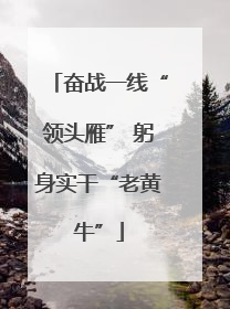 奋战一线“领头雁” 躬身实干“老黄牛”