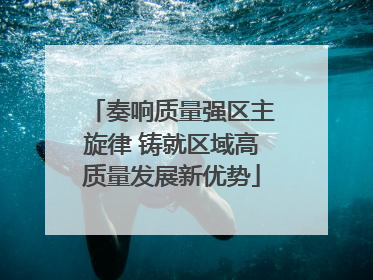 奏响质量强区主旋律 铸就区域高质量发展新优势