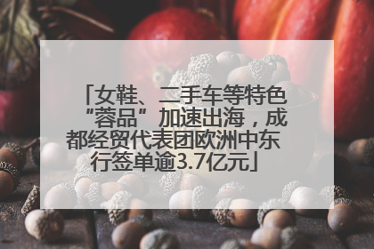 女鞋、二手车等特色“蓉品”加速出海，成都经贸代表团欧洲中东行签单逾3.7亿元