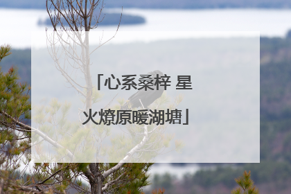 心系桑梓 星火燎原暖湖塘