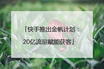 快手推出金帆计划：20亿流量赋能获客