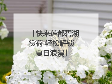 快来莲都碧湖赏荷 轻松解锁夏日浪漫