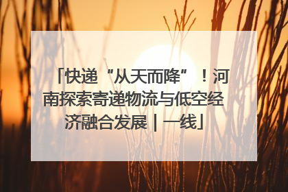 快递“从天而降”！河南探索寄递物流与低空经济融合发展｜一线