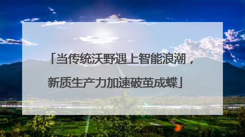 当传统沃野遇上智能浪潮，新质生产力加速破茧成蝶