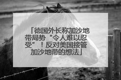 德国外长称加沙地带局势“令人难以忍受”！反对美国接管加沙地带的想法