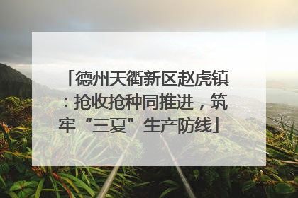 德州天衢新区赵虎镇：抢收抢种同推进，筑牢“三夏”生产防线
